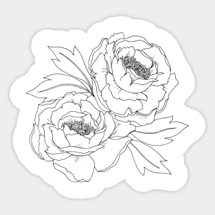 Peony Duo Sticker